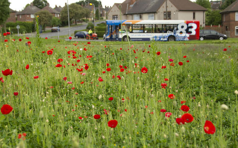 Towns and gardens | Wild About Gardens